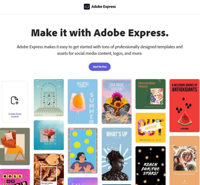 The 5 Best Canva Alternatives in 2023